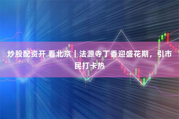 炒股配资开 看北京｜法源寺丁香迎盛花期，引市民打卡热